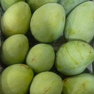 EGYPT FAZOR MANGO - 2KG