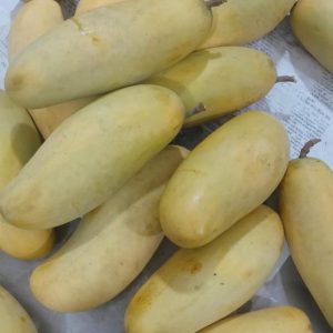PAKISTANI MANGO  - 2 KG