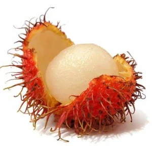 rambutan (500gm) 1kg