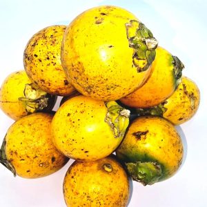KASA SUPARI - 5KG